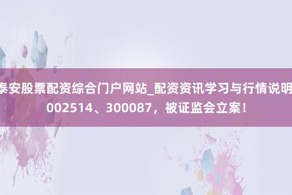 泰安股票配资综合门户网站_配资资讯学习与行情说明 002514、300087,被证监会立案!